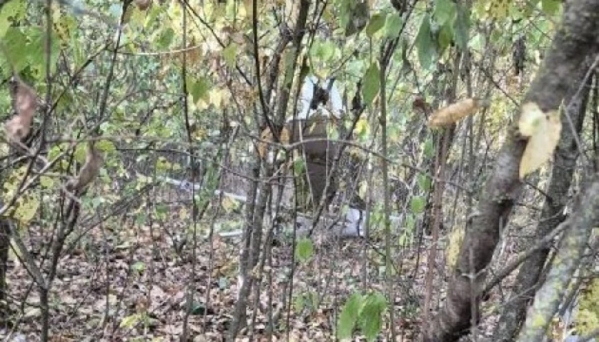 У Новоаненському районі Молдови підтвердили падіння дрона: основні дані